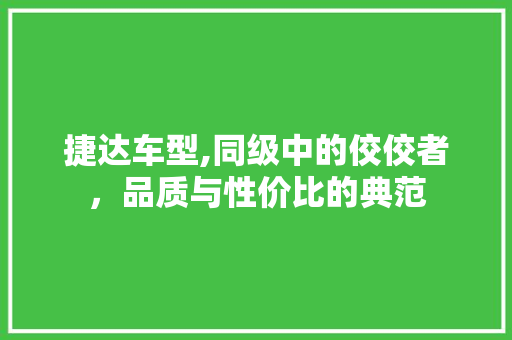 捷达车型,同级中的佼佼者，品质与性价比的典范 车灯配件