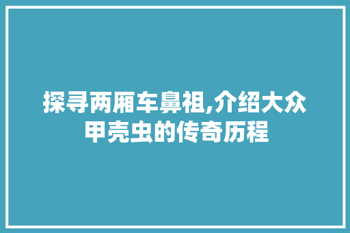 探寻两厢车鼻祖,介绍大众甲壳虫的传奇历程 底盘配件