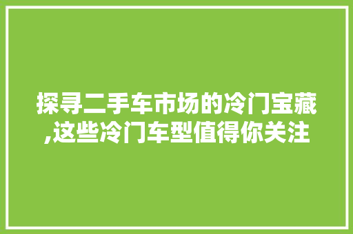 探寻二手车市场的冷门宝藏,这些冷门车型值得你关注