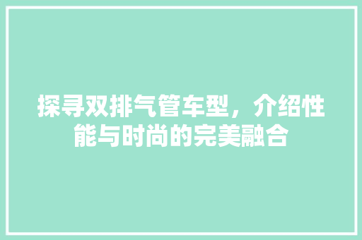 探寻双排气管车型，介绍性能与时尚的完美融合