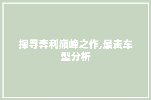 探寻奔利巅峰之作,最贵车型分析 车身配件