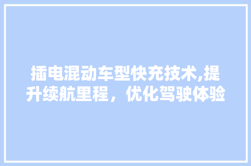 插电混动车型快充技术,提升续航里程，优化驾驶体验