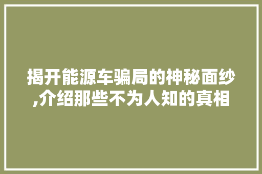 揭开能源车骗局的神秘面纱,介绍那些不为人知的真相