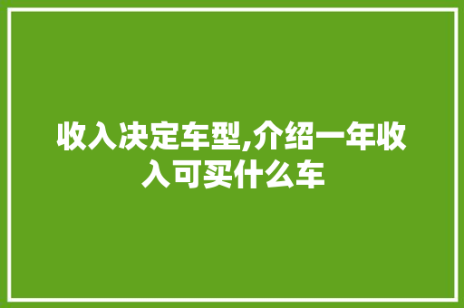 收入决定车型,介绍一年收入可买什么车