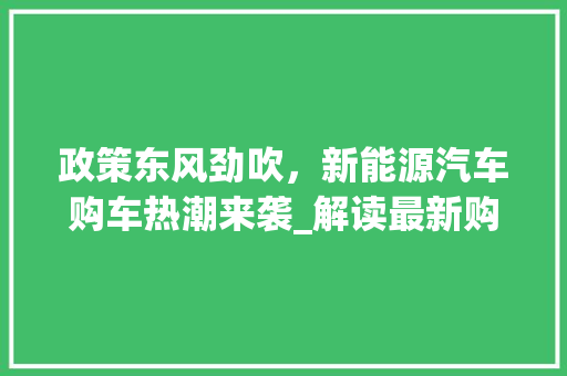 政策东风劲吹，新能源汽车购车热潮来袭_解读最新购车补贴政策