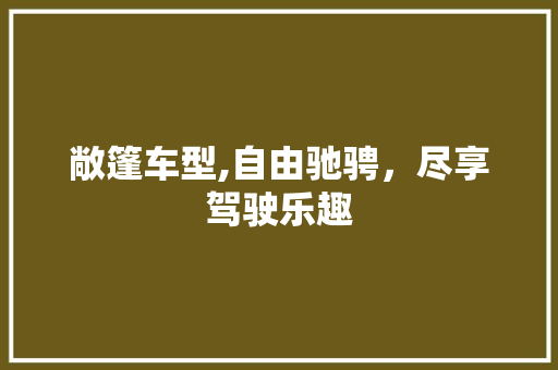 敞篷车型,自由驰骋，尽享驾驶乐趣