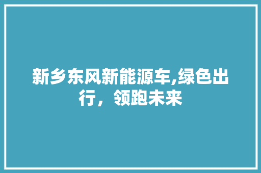 新乡东风新能源车,绿色出行，领跑未来