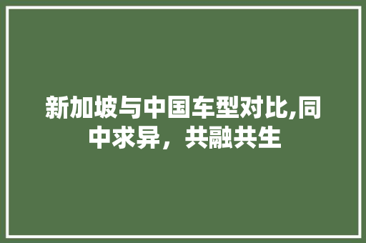 新加坡与中国车型对比,同中求异，共融共生