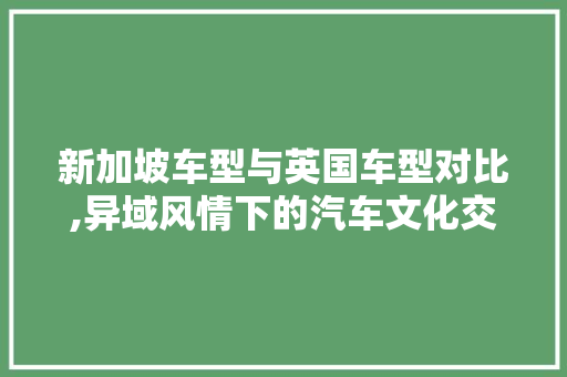 新加坡车型与英国车型对比,异域风情下的汽车文化交融