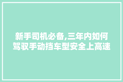 新手司机必备,三年内如何驾驭手动挡车型安全上高速