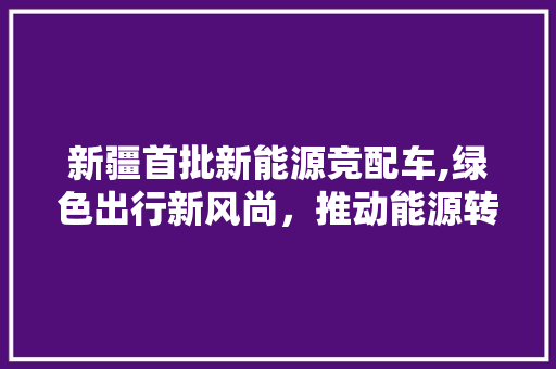 新疆首批新能源竞配车,绿色出行新风尚，推动能源转型