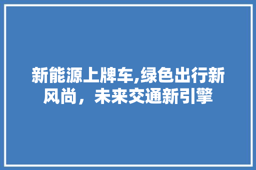 新能源上牌车,绿色出行新风尚，未来交通新引擎