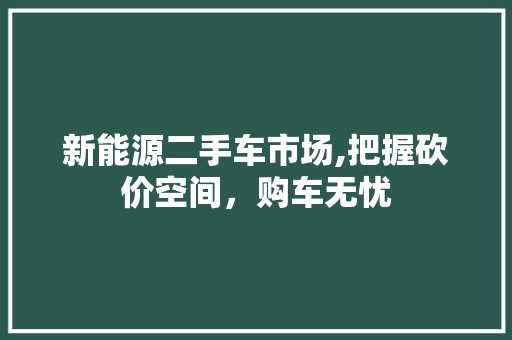 新能源二手车市场,把握砍价空间，购车无忧