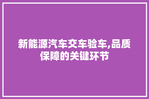 新能源汽车交车验车,品质保障的关键环节