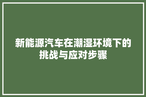 新能源汽车在潮湿环境下的挑战与应对步骤
