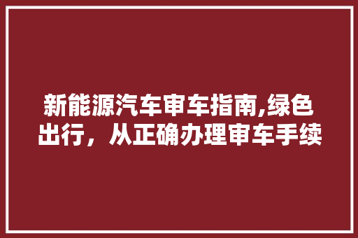 新能源汽车审车指南,绿色出行，从正确办理审车手续开始