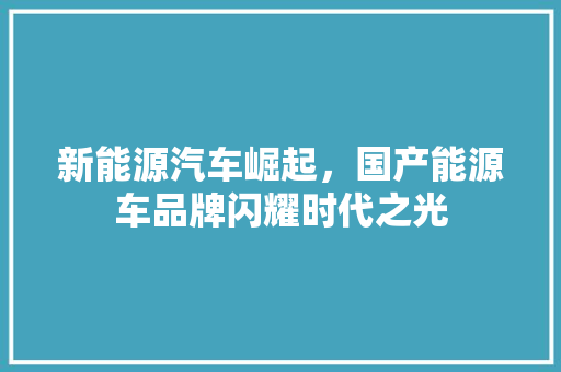 新能源汽车崛起，国产能源车品牌闪耀时代之光
