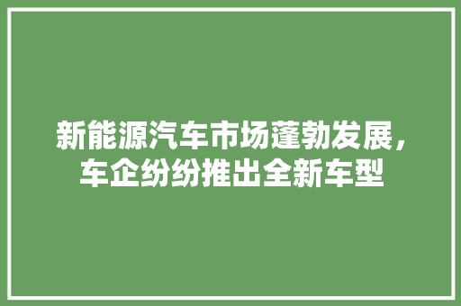 新能源汽车市场蓬勃发展，车企纷纷推出全新车型