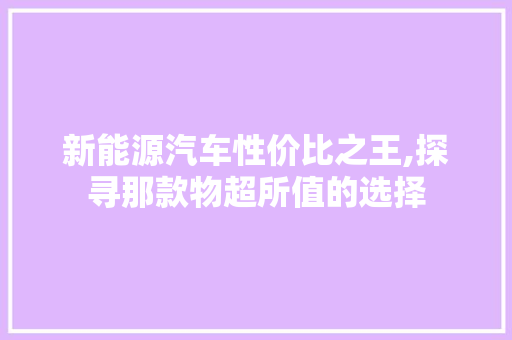 新能源汽车性价比之王,探寻那款物超所值的选择