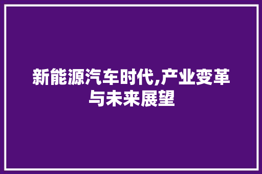 新能源汽车时代,产业变革与未来展望