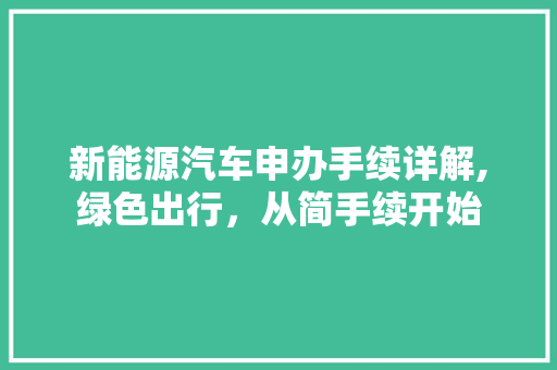 新能源汽车申办手续详解,绿色出行，从简手续开始