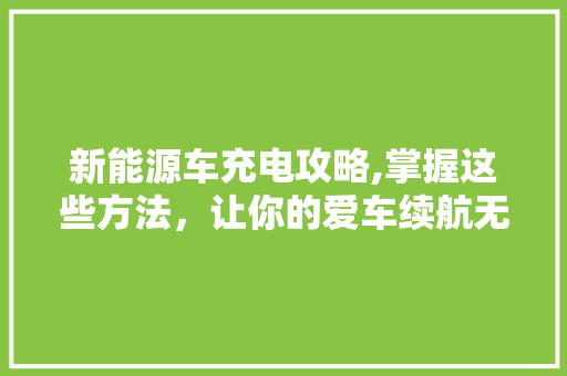 新能源车充电攻略,掌握这些方法，让你的爱车续航无忧