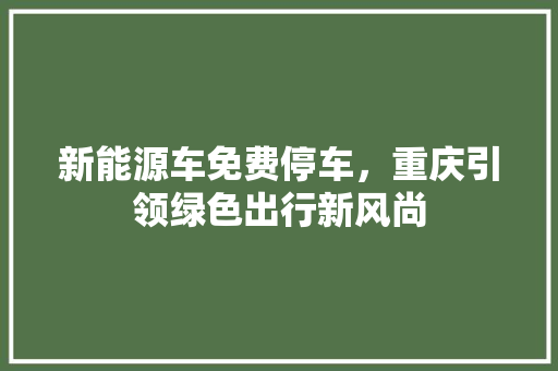 新能源车免费停车，重庆引领绿色出行新风尚