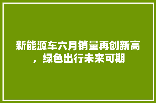 新能源车六月销量再创新高，绿色出行未来可期