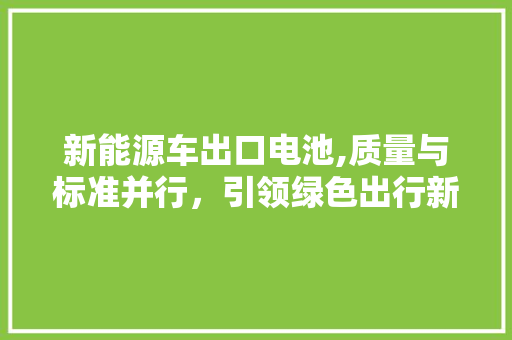 新能源车出口电池,质量与标准并行，引领绿色出行新时代