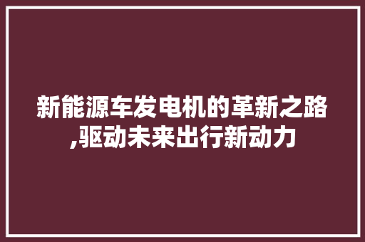 新能源车发电机的革新之路,驱动未来出行新动力