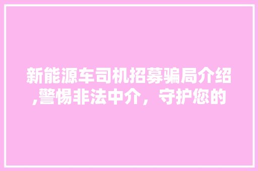 新能源车司机招募骗局介绍,警惕非法中介，守护您的财富安全