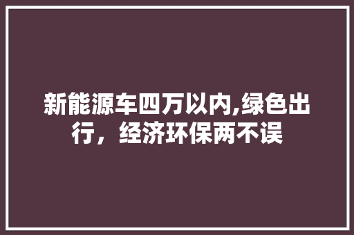 新能源车四万以内,绿色出行，经济环保两不误