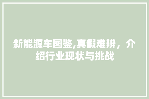 新能源车图鉴,真假难辨，介绍行业现状与挑战