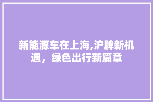 新能源车在上海,沪牌新机遇，绿色出行新篇章