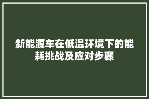 新能源车在低温环境下的能耗挑战及应对步骤