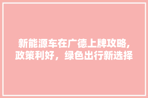 新能源车在广德上牌攻略,政策利好，绿色出行新选择