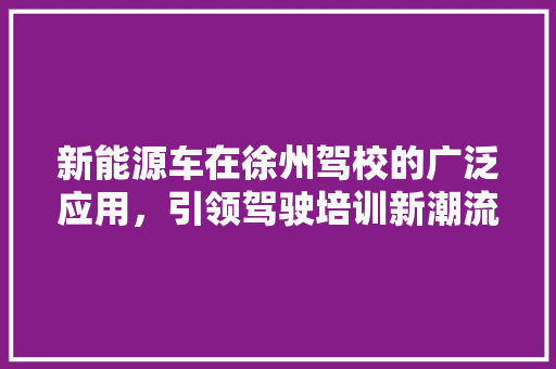 新能源车在徐州驾校的广泛应用，引领驾驶培训新潮流