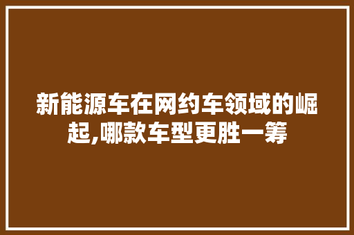 新能源车在网约车领域的崛起,哪款车型更胜一筹