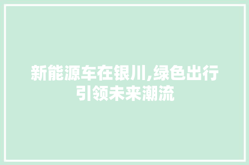 新能源车在银川,绿色出行引领未来潮流