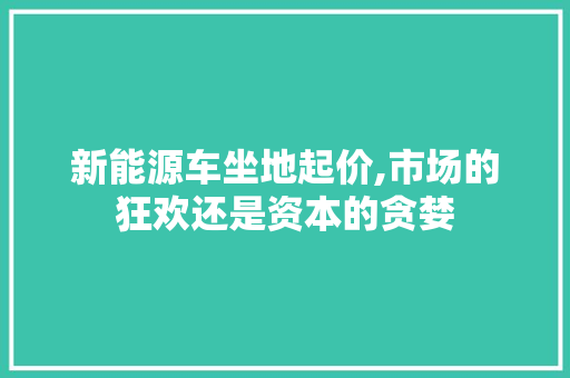 新能源车坐地起价,市场的狂欢还是资本的贪婪