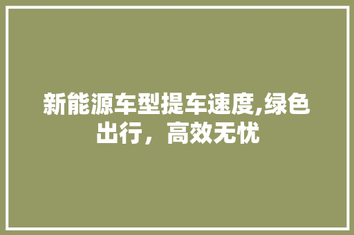 新能源车型提车速度,绿色出行，高效无忧