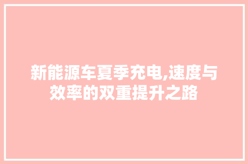 新能源车夏季充电,速度与效率的双重提升之路