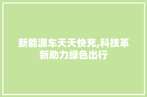 新能源车天天快充,科技革新助力绿色出行
