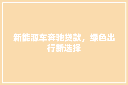 新能源车奔驰贷款，绿色出行新选择