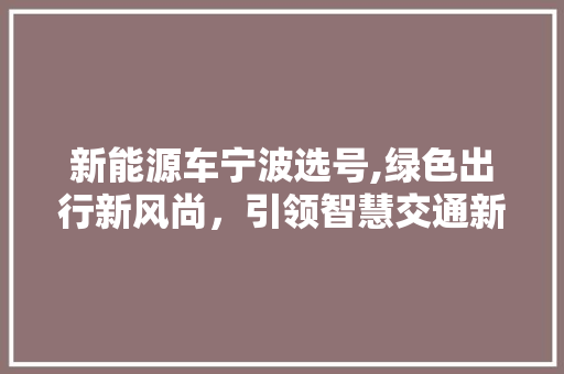 新能源车宁波选号,绿色出行新风尚，引领智慧交通新篇章
