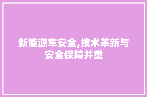 新能源车安全,技术革新与安全保障并重