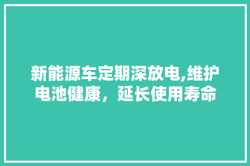 新能源车定期深放电,维护电池健康，延长使用寿命