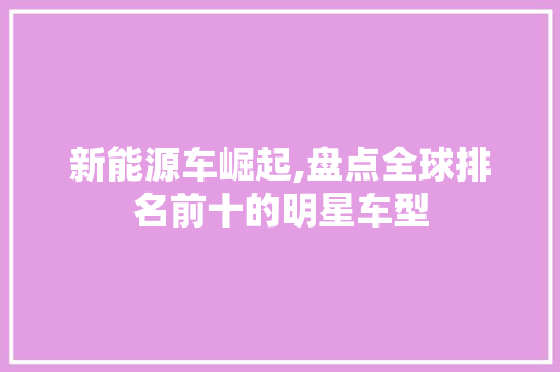 新能源车崛起,盘点全球排名前十的明星车型