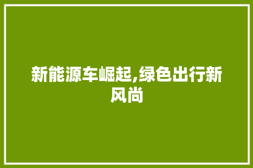 新能源车崛起,绿色出行新风尚