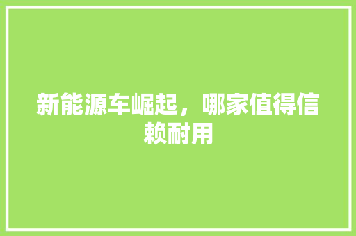 新能源车崛起，哪家值得信赖耐用